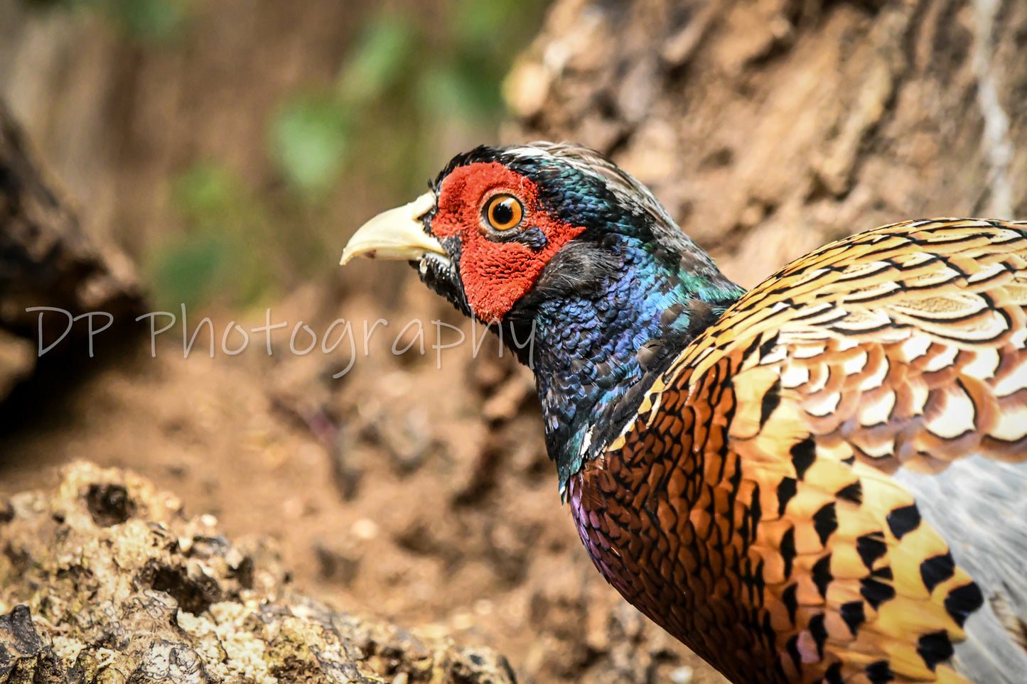 As glamorous as ever