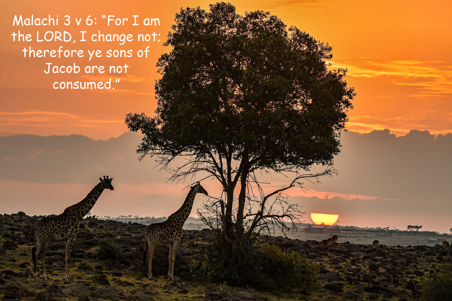 Malachi 3 v 6