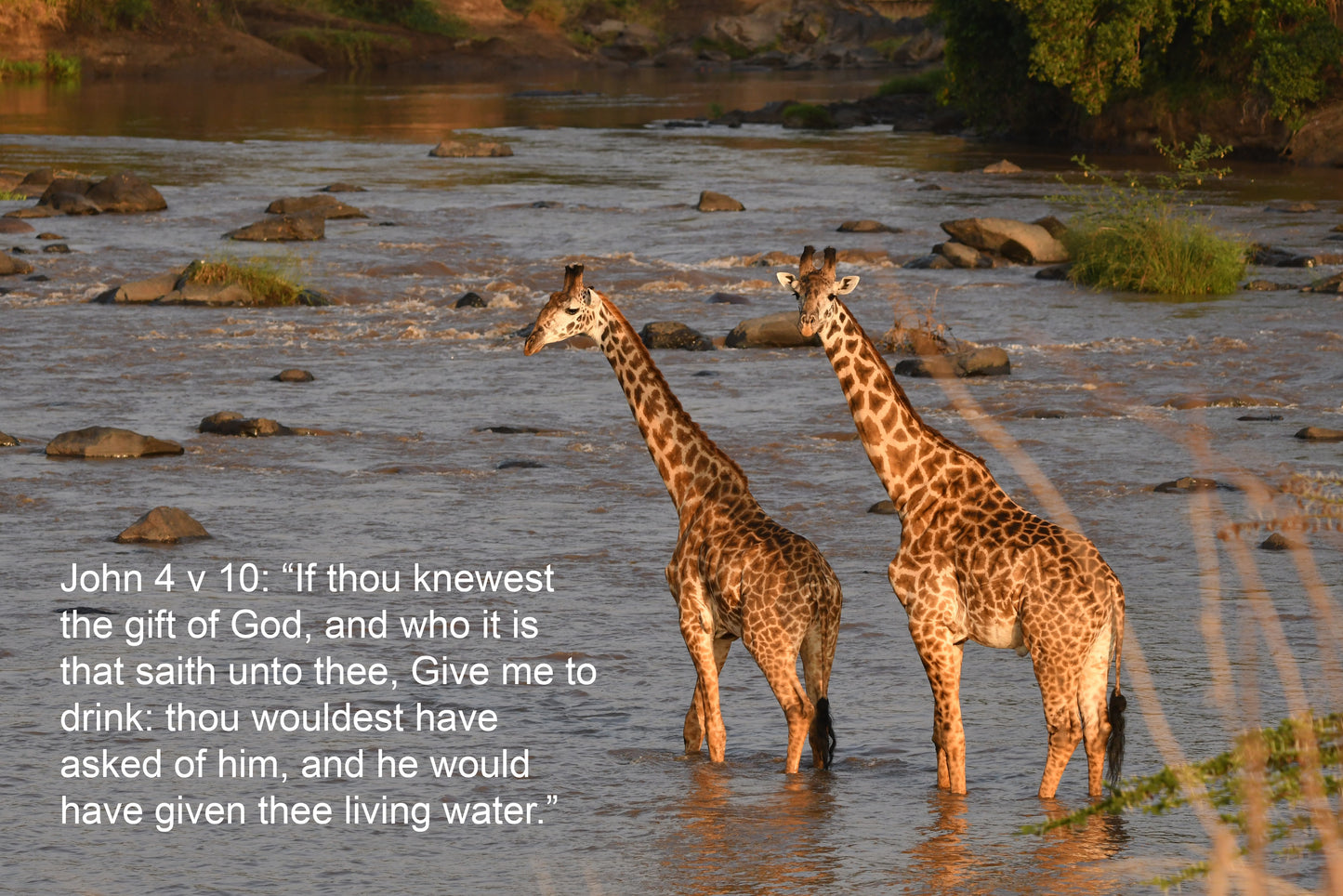 John 4 v 10