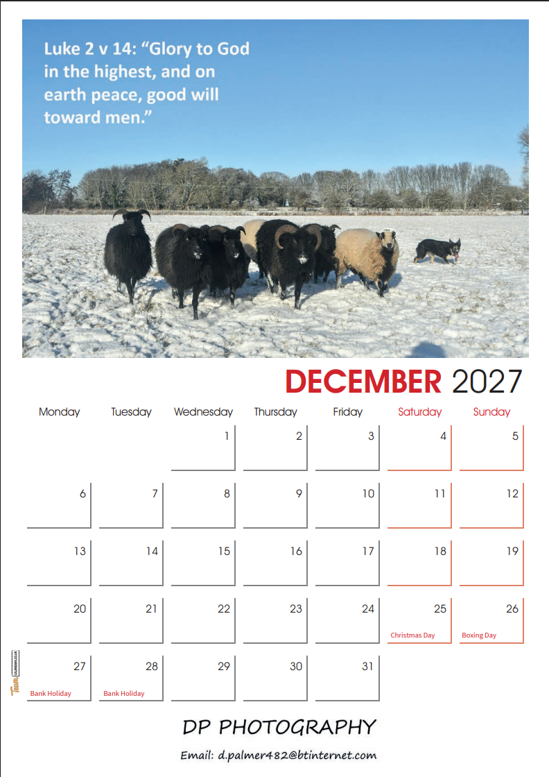 Bible Text Calendar 2027