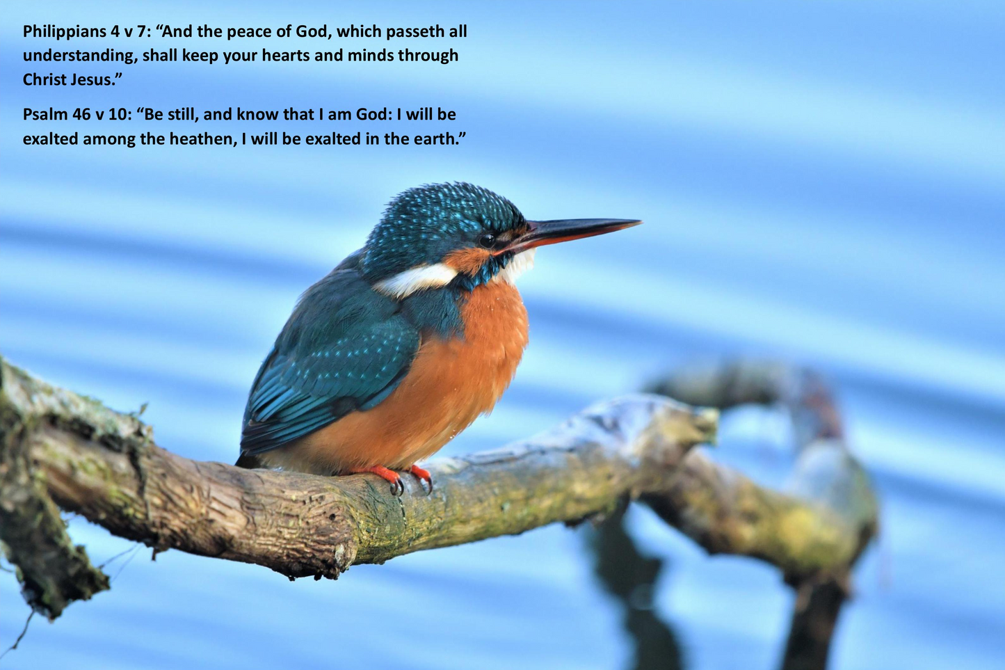 Philippians 4 v 7. Psalm 46 v 10.