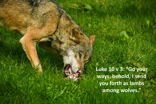 Luke 10 v 3