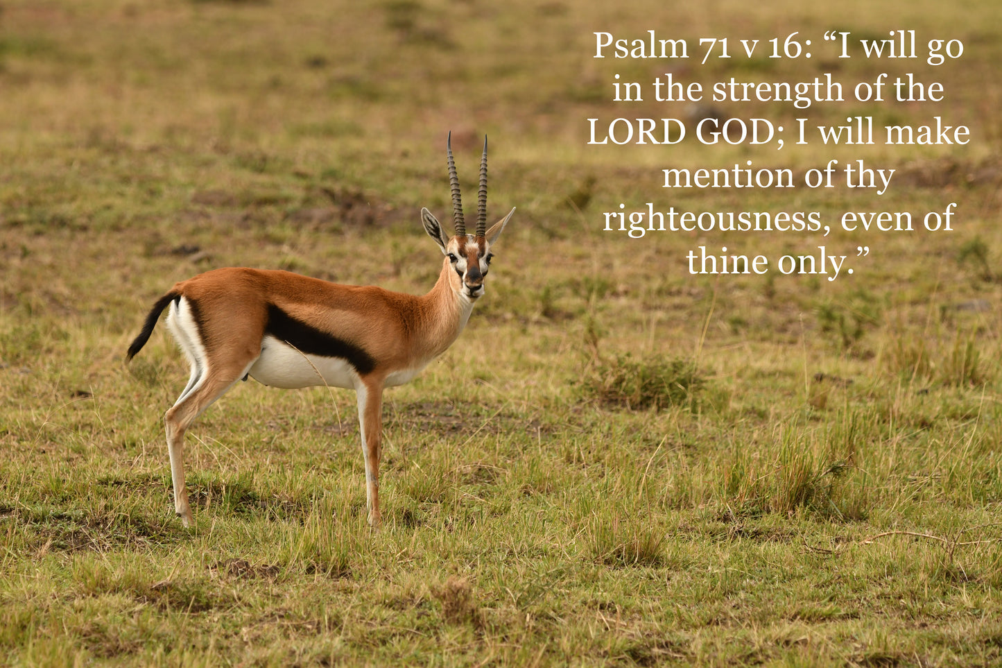 Card Psalm 71 v 16