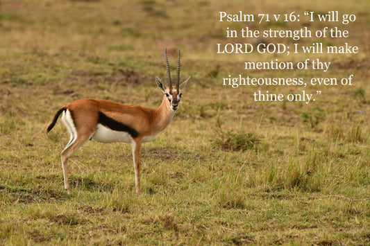 Card Psalm 71 v 16