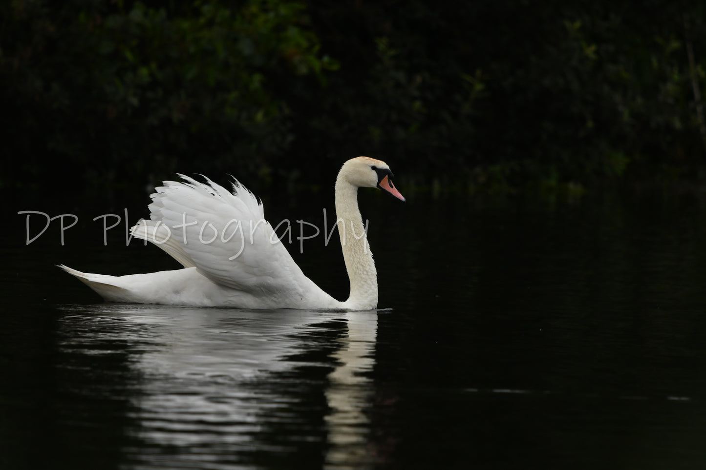 Serenity and contrast