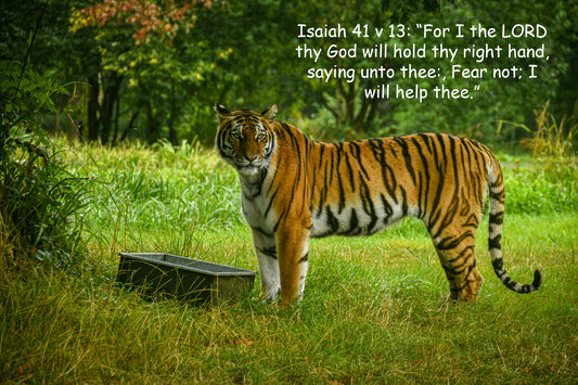 Isaiah 41 v 13