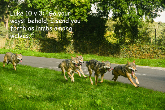 Luke 10 v 3