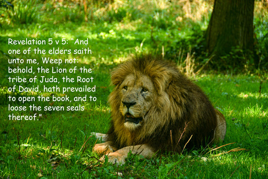 Revelation 5 v 5