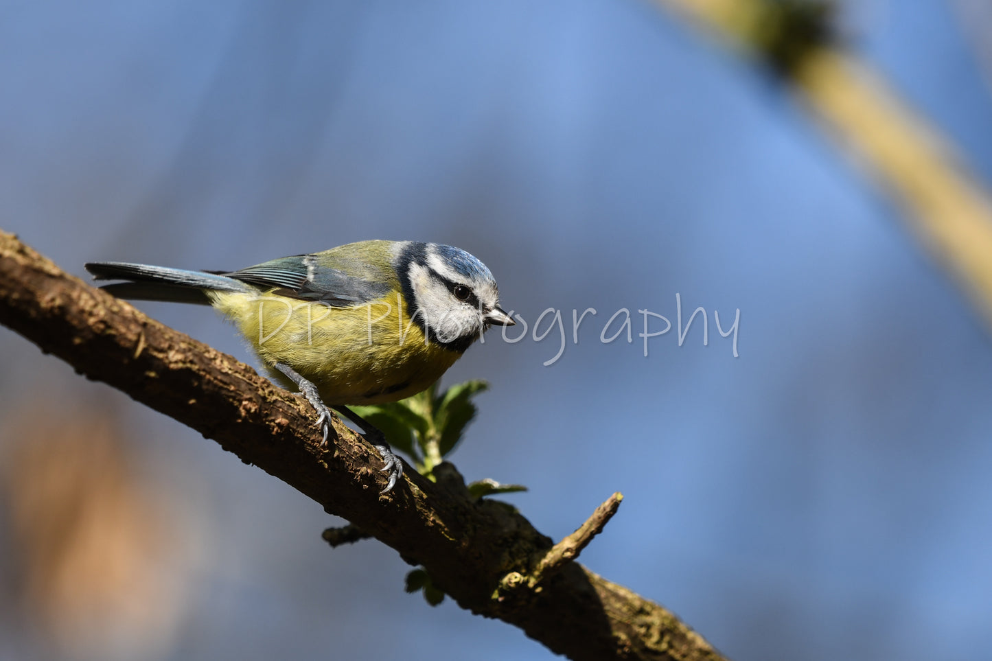 Patience is rewarded