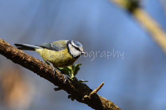 Patience is rewarded