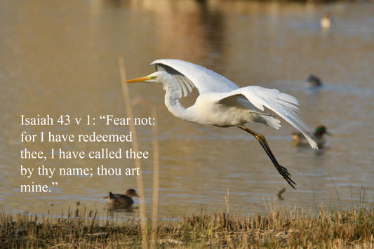 Isaiah 43 v 1