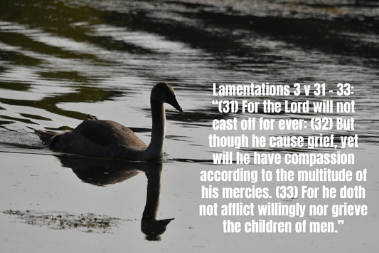 Lamentations 3 v 31 - 33