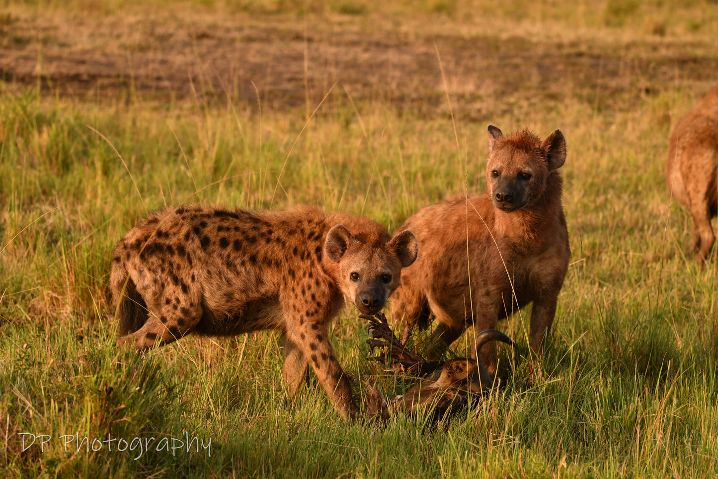 "Are you on the menu to?"