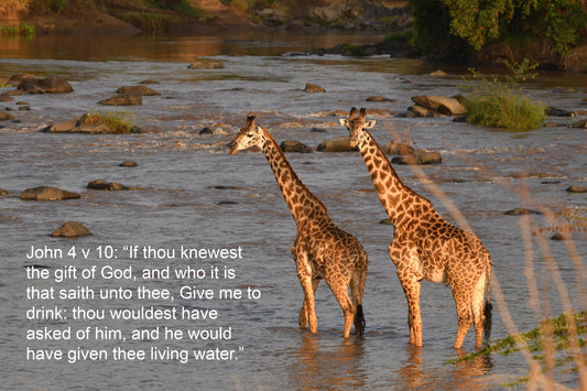 John 4 v 10