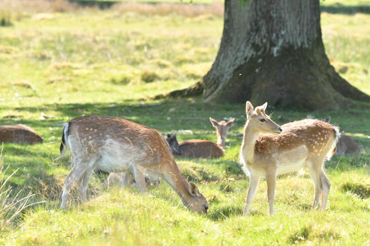 "Is someone coming?"