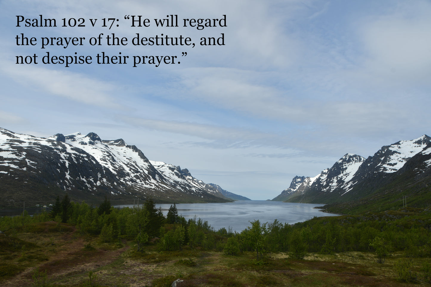 Arctic landscape cards with Biblical text.