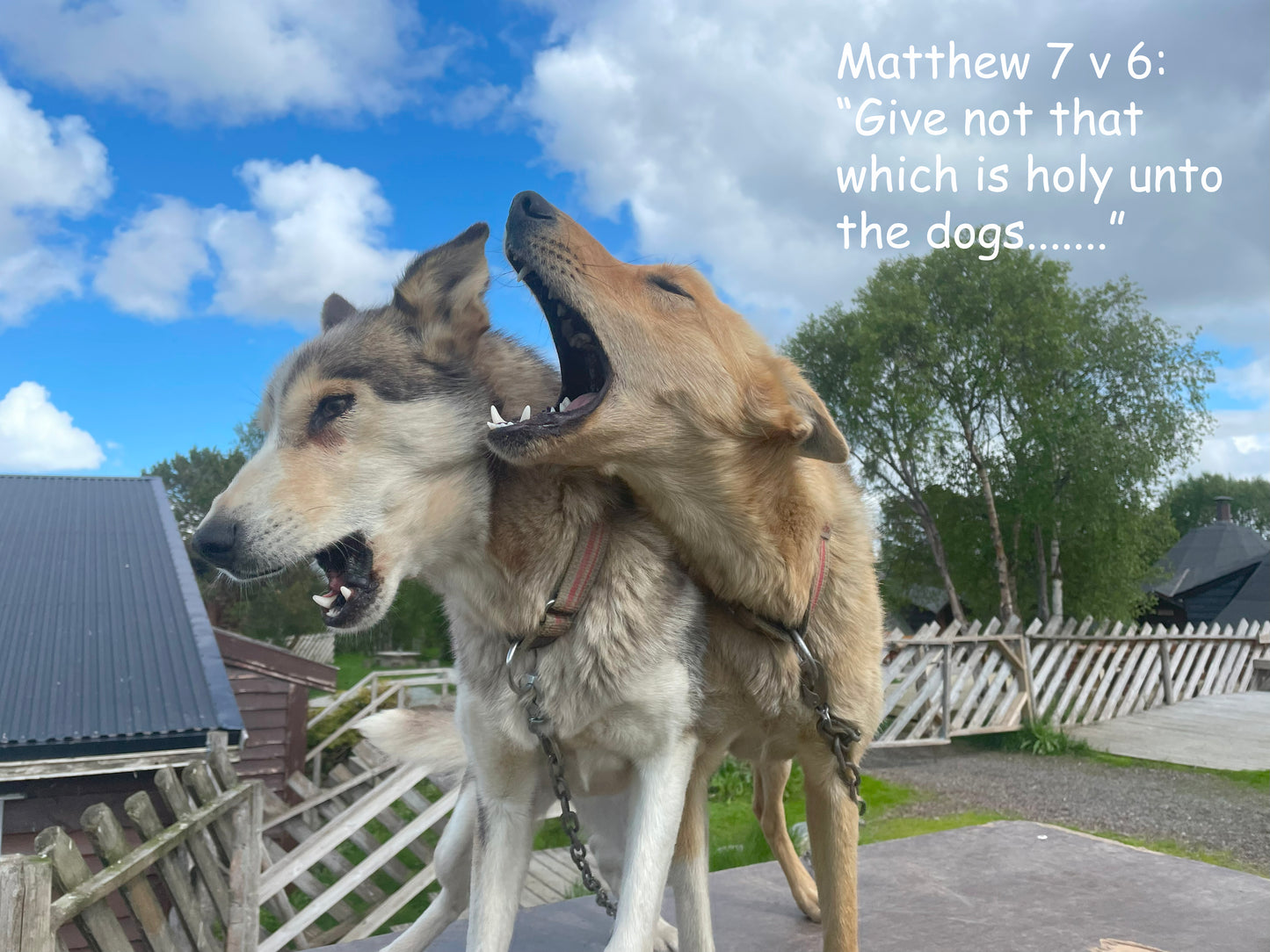 Matthew 7 v 6