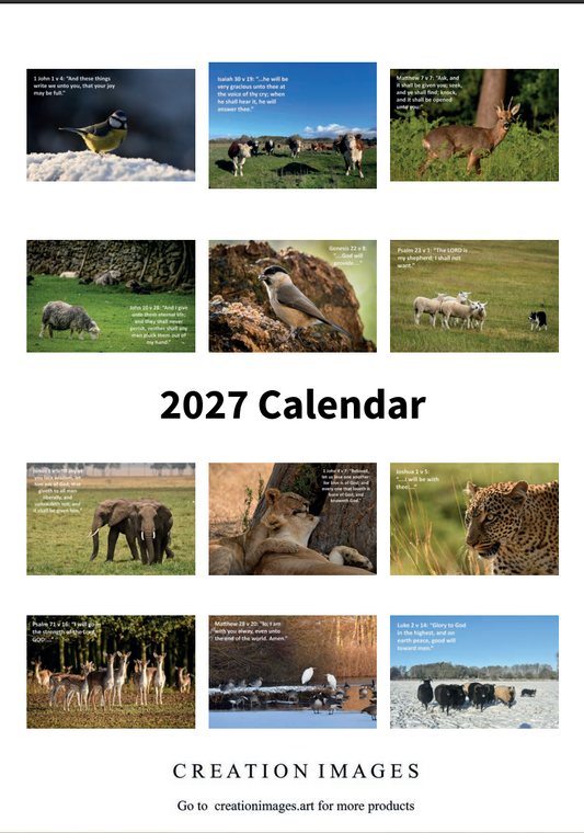 Bible Text Calendar 2027